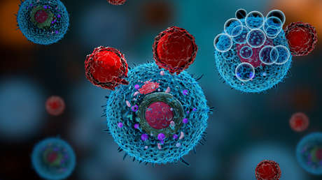 Hallan un compuesto orgánico simple que despierta las defensas contra el cáncer
