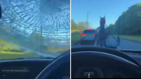 Momento de pánico: un caballo descontrolado embiste un Mercedes-Benz a toda velocidad (VIDEO)