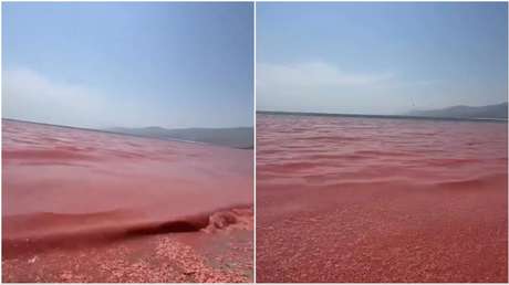 VIDEO: Una playa se transforma en una 'alfombra roja de muerte' por esta razón