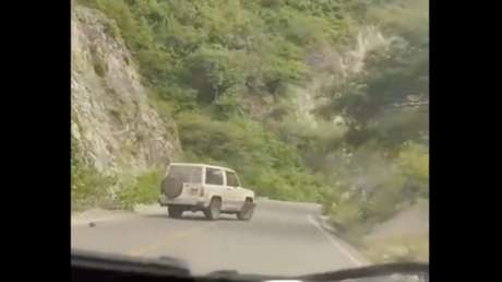 VIDEO: Conductor atropella intencionalmente a un venado y ahora podría ir a prisión