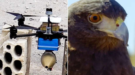 Como halcones que acechan a sus presas: Hezbolá alecciona a Israel con un video de sus drones