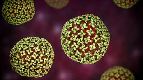 ¿Se transmite entre humanos? Qué se sabe de la variante más peligrosa del hantavirus