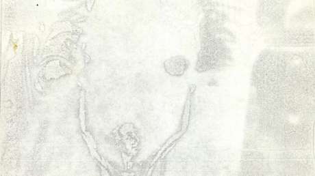 FOTO: Usuarios detectan una figura humanoide no identificada en los nuevos archivos sobre ovnis