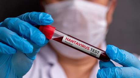 Identifican al 'paciente cero' de hantavirus y sus posibles causas de contagio