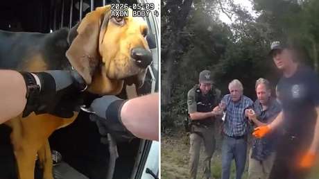 VIDEO: El olfato de un perro policía guía el rescate de un hombre de 96 años