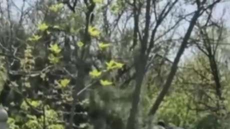 VIDEO: Reclutadores ucranianos movilizan por la fuerza a un sacerdote después de oficiar un funeral