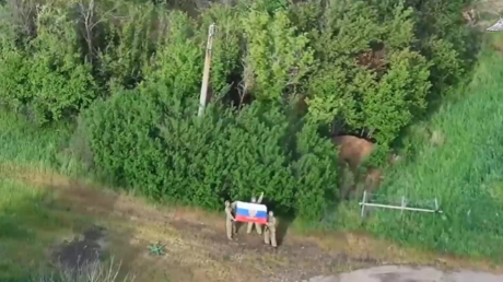 VIDEO: Ejército ruso libera una localidad de las fuerzas ucranianas