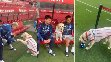 La anfitriona más adorable del fútbol: perrita del Girona enamora al rival con una cálida bienvenida (VIDEO)