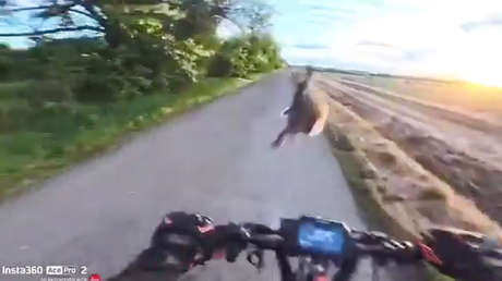 VIDEO: Va en un patinete por una zona boscosa, pero un inesperado 'intruso' lo estropea todo