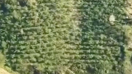Camioneta sufre una aterradora caída hacia el vacío (VIDEO)